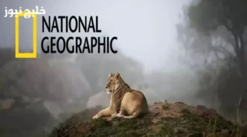 تردد قناة ناشيونال جيوغرافيك 2025 المفتوحة بجودة HD بخطوات سهلة